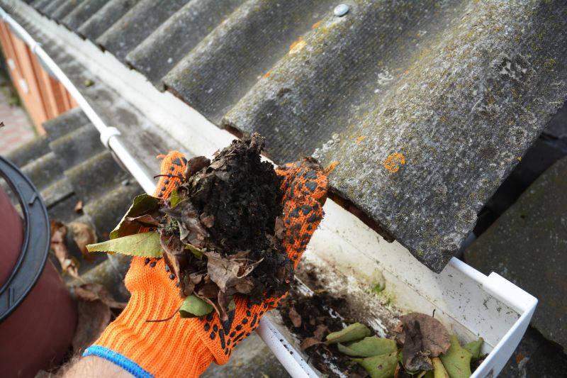 Clogged Gutter Blockages