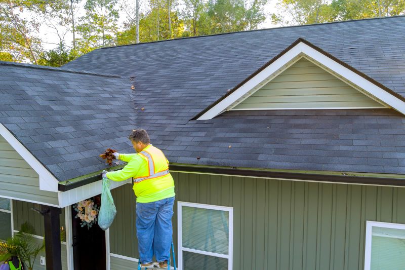 Gutter Cleaning Specialists