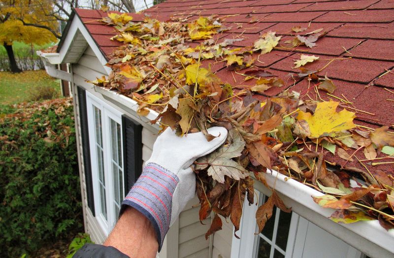 Fall Gutter Preparation